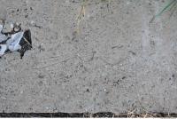 Photo Texture of Ground Concrete 0012